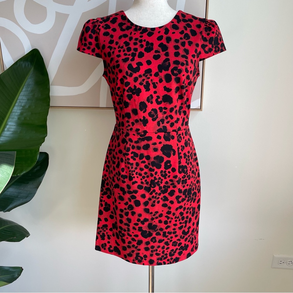 NWOT Betsy Johnson stretchy Red and Black Sheath Mini Dress with Cap Sleeves